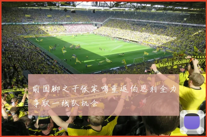 前国脚之子张家鸣重返伯恩利全力争取一线队机会